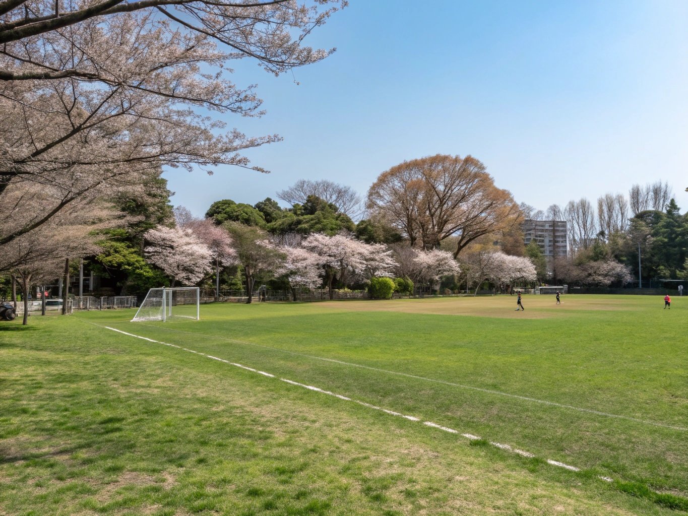 世田谷区のプレミアムレッスン